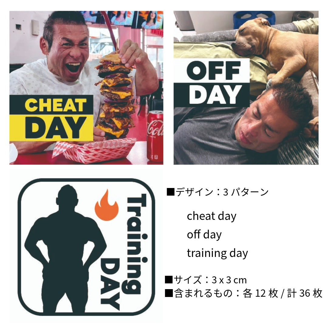 【BIG HIDE】モチベーションミニシール 3種セット(計36枚入)|トレーニング・チートデイ・OFF DAY