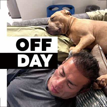 【BIG HIDE】モチベーションミニシール 3種セット(計36枚入)|トレーニング・チートデイ・OFF DAY