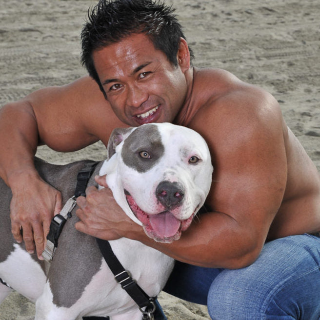 山岸秀匡＆愛犬SAKURA メモリアルステッカー